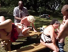 Three Bbw Grannies Go Dogging In The Park