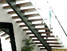 Crazy Babe Breaks In To BBC Home & Gives Her Asshole As B-Day Present - DogfartNetwork