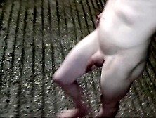 Absolutely in nature's garb on the street