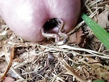 Not quite ants in your pants