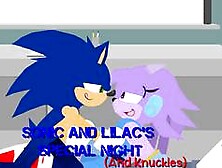 Sticknodes Hentai: Sonic And Lilac's Special Night (And Knuckles)