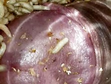 Maggot Cock Fun 1