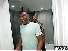 two Monster Schlongs 4 Luxe