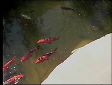 Gorgeous blonde lesbians with piercings lick and finger each other's clit