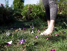 Hawt Feet With Lengthy Toes Crushing Flowers Outdoors