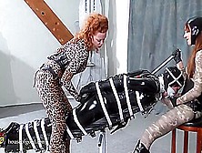 Incredible Bdsm Scene