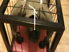 Restrained To A Cage - 2