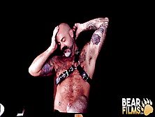 Bearfilms Bears Sean Knight And Scotty Rage Bareback Roughly