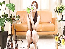 Lilliputian Exquisiteness Hitomi Kanou Provocative Erotically