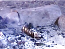 Frisky Asian Lesbians Suck Each Other's Tender Tits and Wet Twats Near Campfire