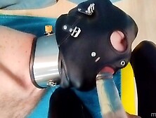 Hogtied slave really enjoys to blow strapon! Real amatuer POINT OF VIEW