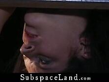 Busty tall babe painful prepared to suck submissive