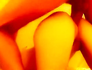 Count Dracula'S Snappish Juicecunts