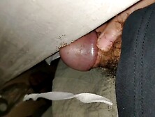 Feed Ants Use My Dick And Cumshot Collection