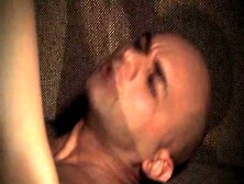 Strawberries Cream and Wild Sex