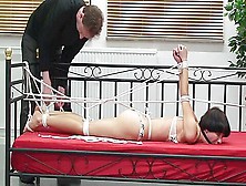 Leseratte Ans Bett Gefesselt