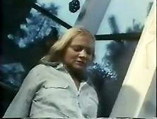 Farmers Step daughters 1973