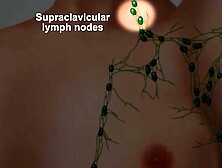 Tiffany C.  - Exam Videos