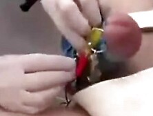 Mistress Miranda tortures his dick