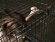 Showered gigi rivera gets with so many loads of cum