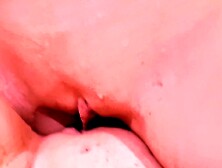 Lesbian Scissors Rubbing And Getting Orgasm