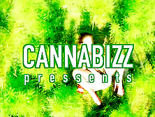 Balls very unfathomable out door BBC pounding!