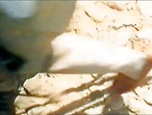 The Dark Side of Porn [Part 9 of 9] T. R. A. F.