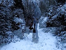 Cedille Ou La Pipe Des Neiges Entre Chiens Et Loups