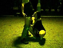 Training a bitch's ex-wife in a public park.