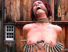 HardTied (Cici Rhodes & Rain DeGrey) 01