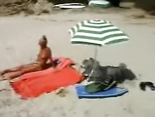 I Taped Two Concupiscent Mature Hotties On The Nudist Beach