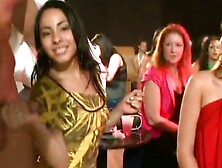 hot party babes love swollen cock