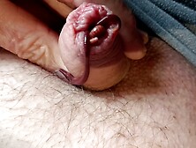 Full of life under my foreskin, very pleasant when