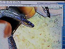 Exciting danger... by Angelo Luna