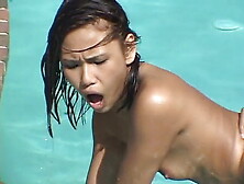 Freaky Lesbians Trib In The Pool