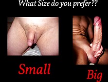 TAKE THE SISSY TEST (BBC Edition)