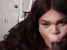 Black Fat Trans Woman Suck A Black Cock And Make It Cum