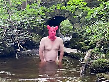 pig neil naked in the river