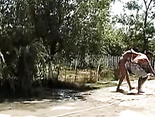 Hot German babe takes big cock hard outdoors - rough doggy & facial