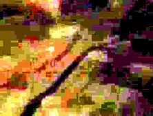 "Nosferatu in Venice" (1988)