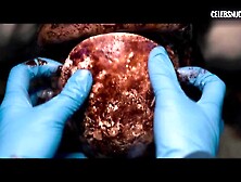 Olwen Catherine Kelly breasts,  morgue scene in The Autopsy of Jane Doe (2016)
