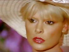 Mature babes getting roughly pounded in a vintage video