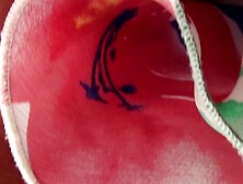 Angelina Jolie look-alike