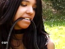 The Cellar Of Punishment