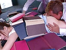 PGD 830 02 1932504003