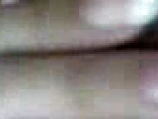 flora rumena scopata a salerno