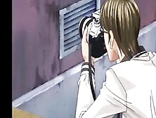 Lustful babes love teasing big dicks and riding them balls deep