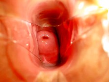 Chaturbatable spreads pussy with speculum and gives anatomy lesson - Fetish