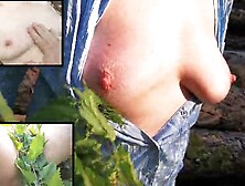 Nettle Punishment: Triple View of Tits,  Ass and Pussy