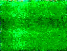 Jennas Built for Speed